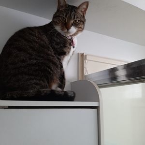 Meet your Posher, Caroline